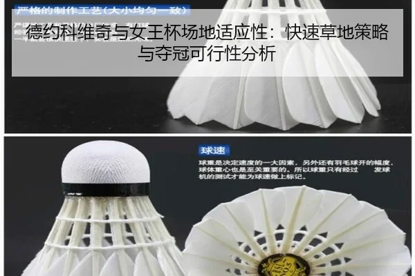 de-yue-ke-wei-qi-yu-nv-wang-bei-chang-di-shi-ying-xing-kuai-su-cao-di-ce-lve-yu-duo-guan-ke-xing-xing-fen-xi-3-444.jpg