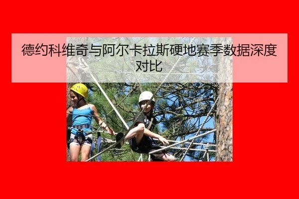 德约科维奇与阿尔卡拉斯硬地赛季数据深度对比