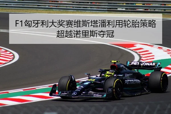 xiong-ya-li-da-jiang-sai-wei-si-ta-pan-li-yong-lun-tai-ce-lve-chao-yue-nuo-li-si-duo-guan-2-383.jpg