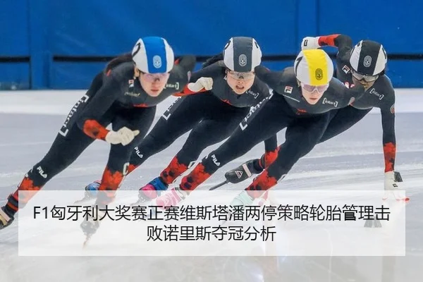 F1匈牙利大奖赛正赛维斯塔潘两停策略轮胎管理击败诺里斯夺冠分析