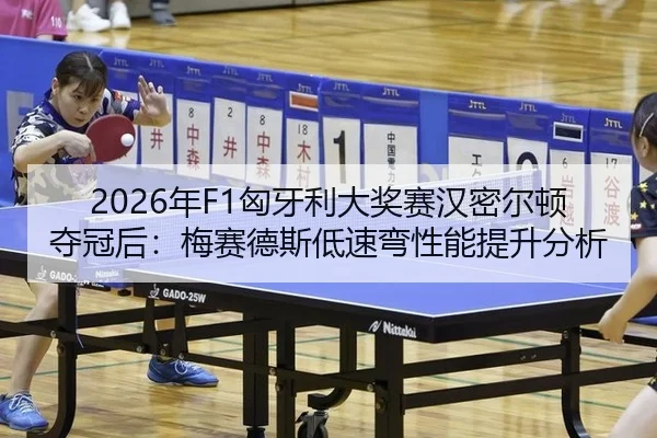 nian-xiong-ya-li-da-jiang-sai-han-mi-er-dun-duo-guan-hou-mei-sai-de-si-di-su-wan-xing-neng-ti-sheng-fen-xi-3-436.jpg